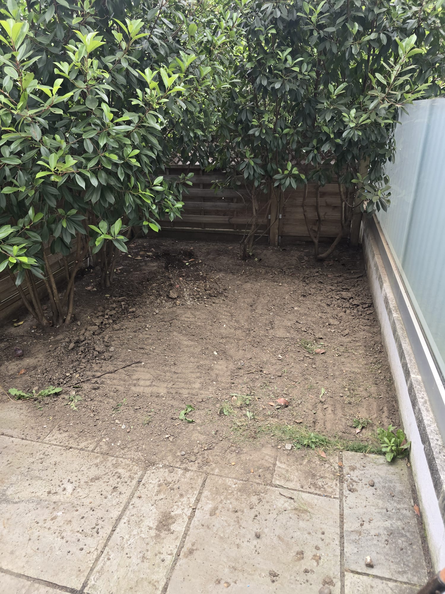 Garden makeover — before